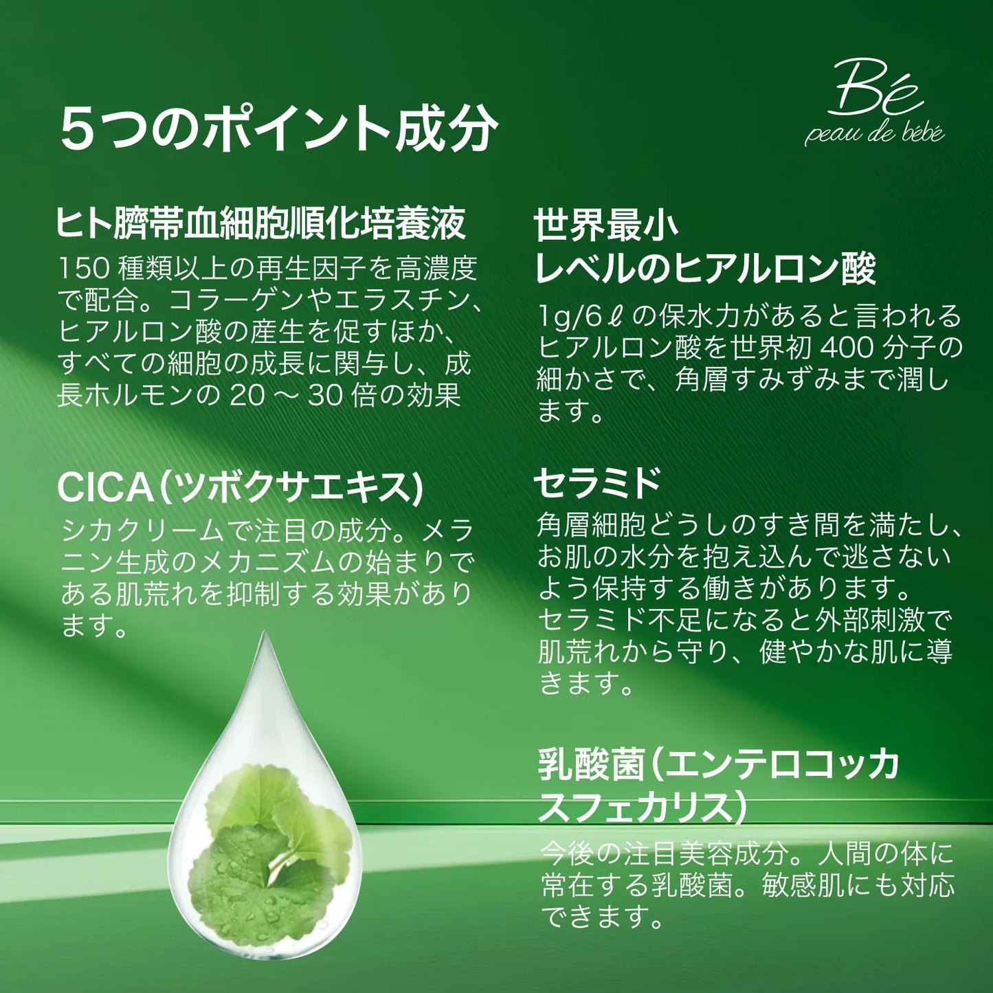 レチノールクリームRT/RETINOL CREAM RT