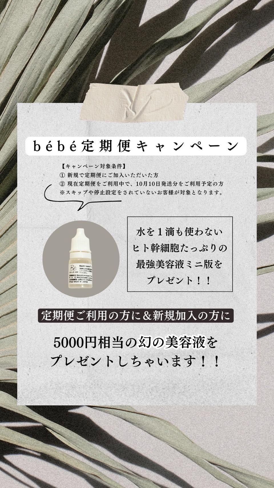 peau de bebe（ポーデべべ）｜公式オンラインショップ - 板野